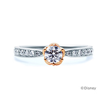 4℃ Collection美女と野獣