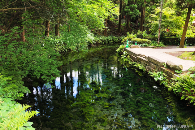白川水源