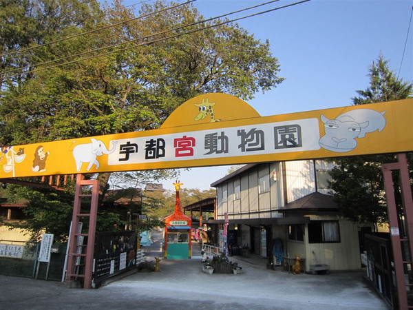 宇都宮動物園