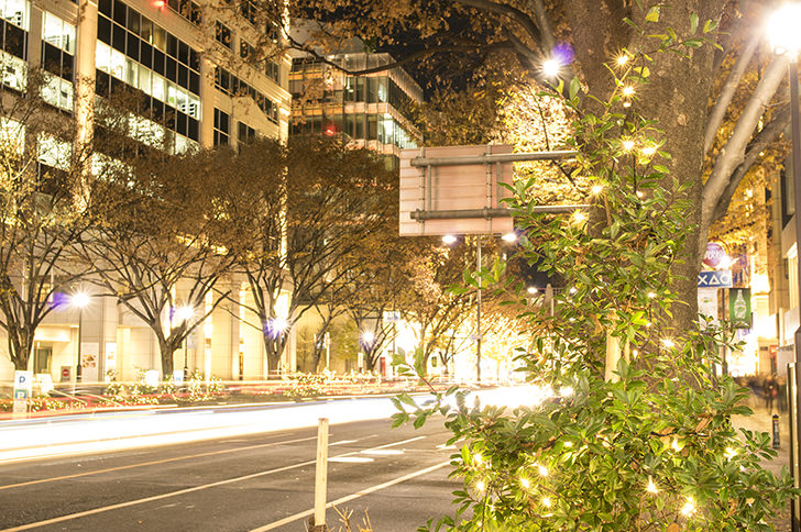 青山のイメージ